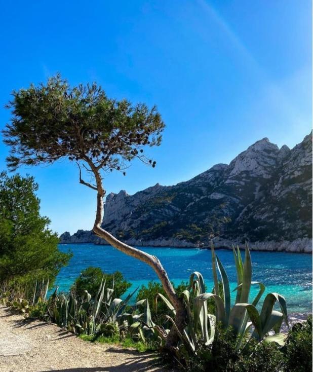 Le Cassidain - Port Et Plage - Luxious Appartement Cassis Esterno foto